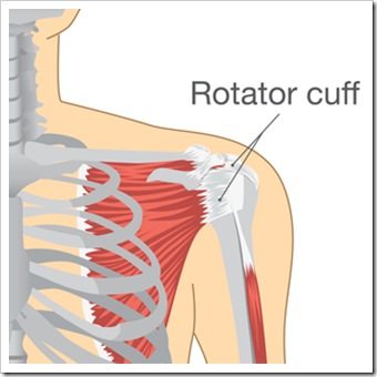 Shoulder Pain Elverson PA Rotator Cuff Injury